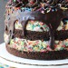 Funfetti_Cake_Batter_Cookie_Dough_Brownie_Layer_Cake2